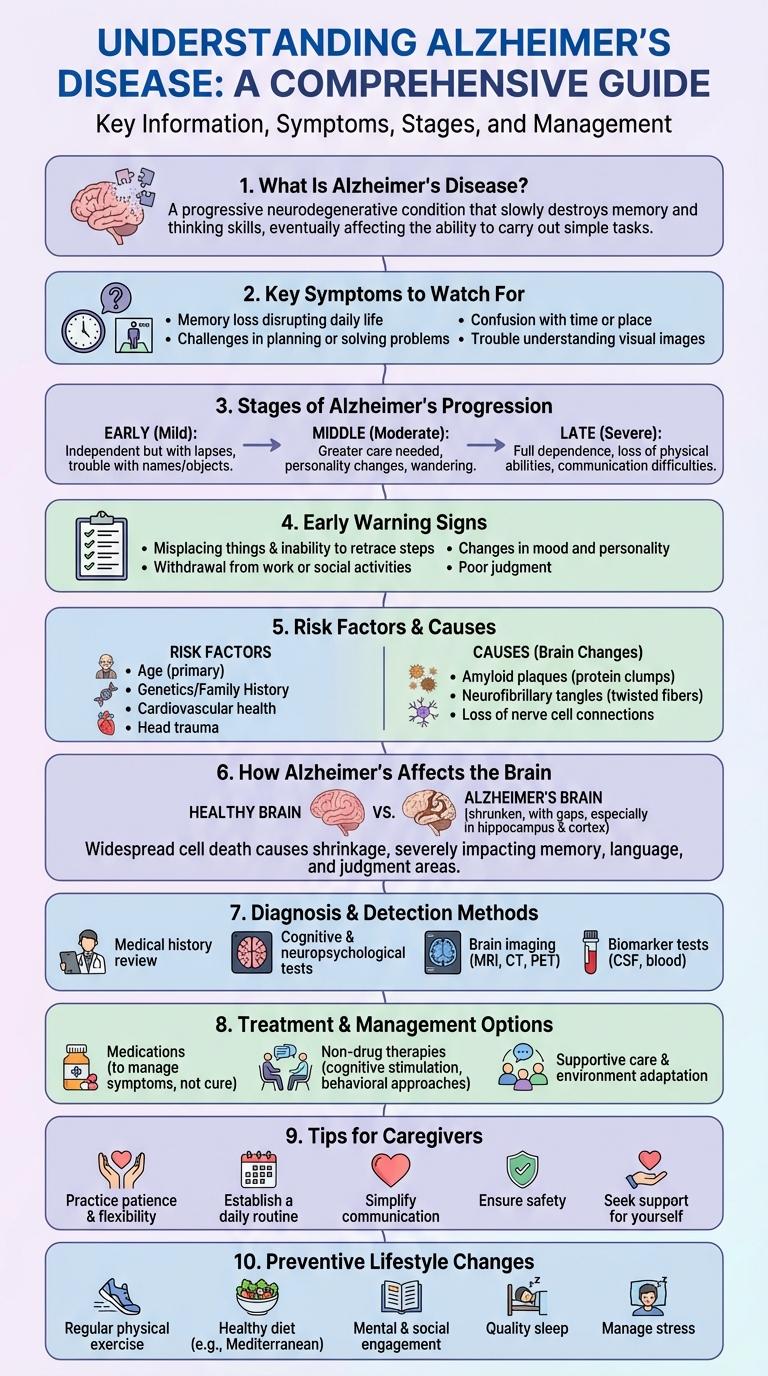 Comprehensive Infographic on Alzheimer's Disease: Key Facts and Insights