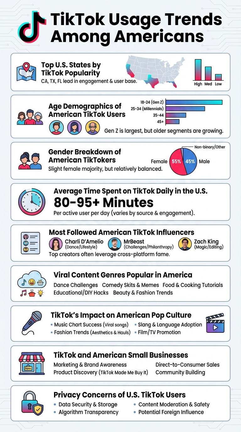Infographic: How Americans Are Using TikTok