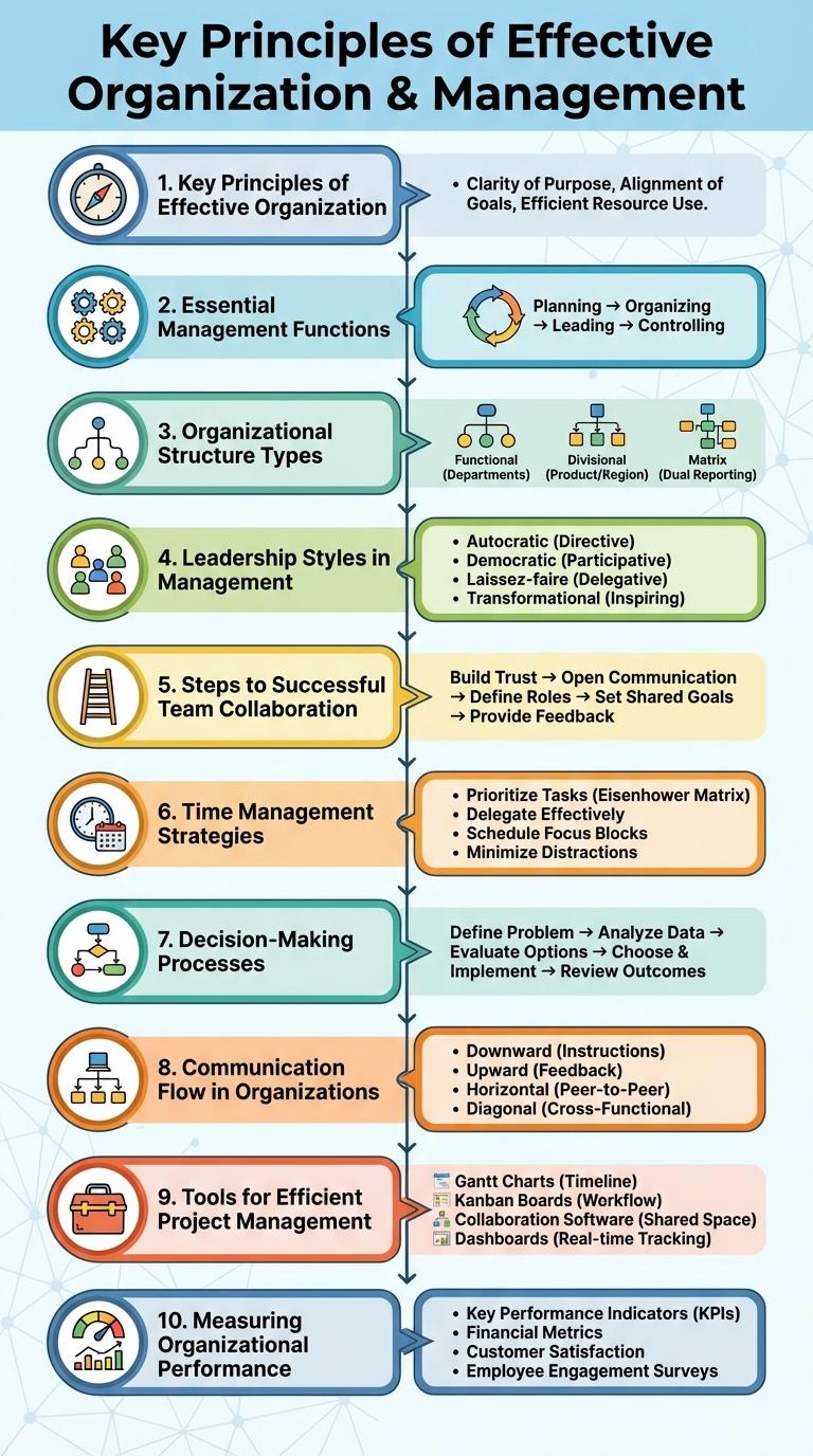 Infographic on Organization and Management: Key Principles and Best Practices