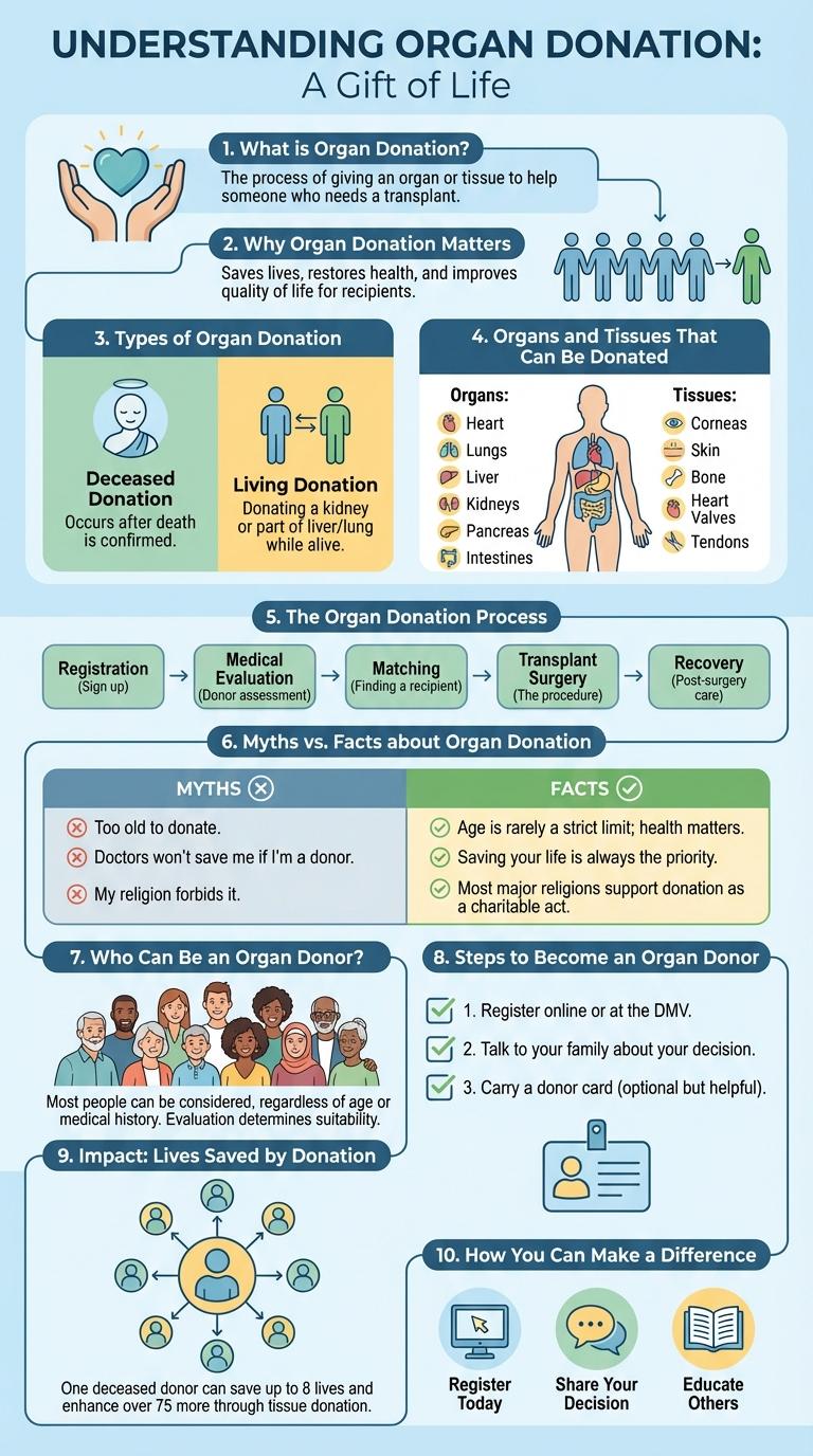 Infographic: Key Facts About Organ Donation