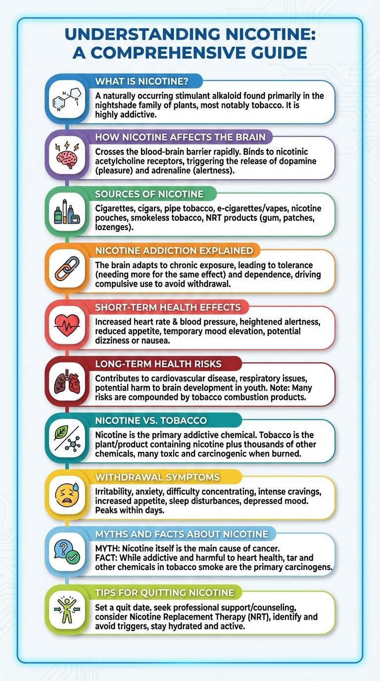 Informative Infographic About Nicotine: Key Facts and Effects