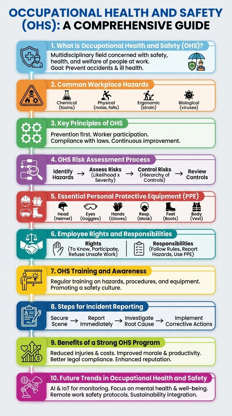 Infographic About Occupational Health and Safety (OHS)