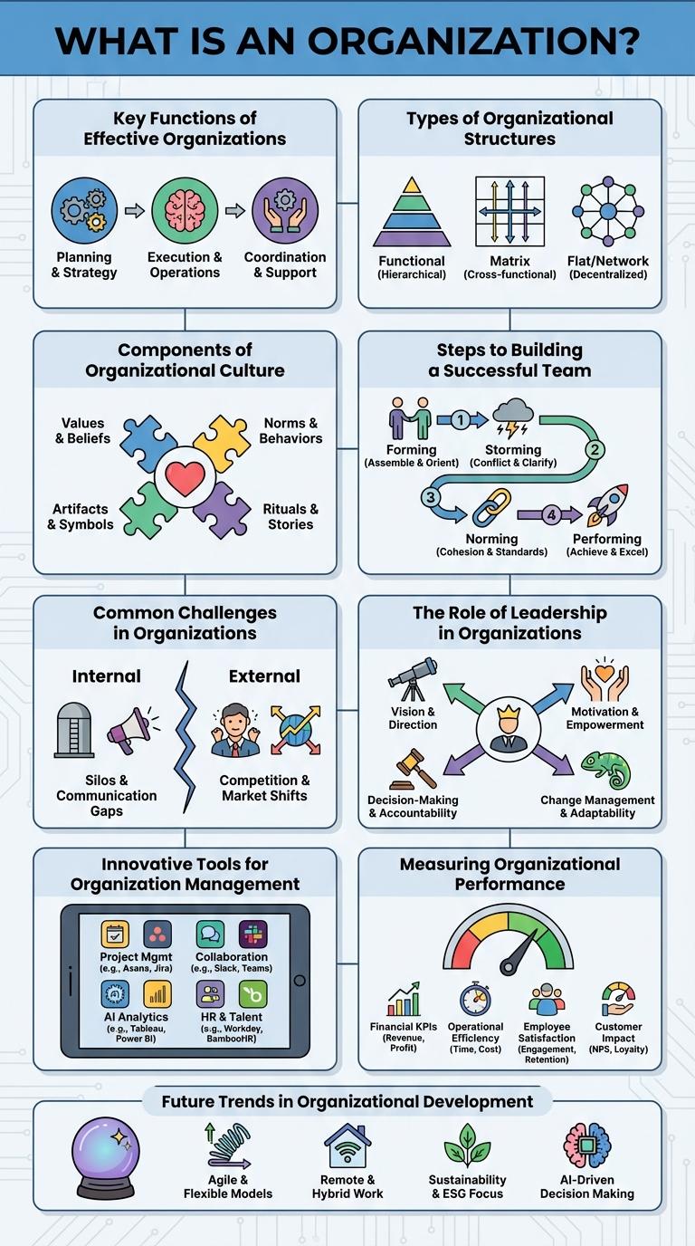 Infographic: Key Elements of Successful Organizational Structure