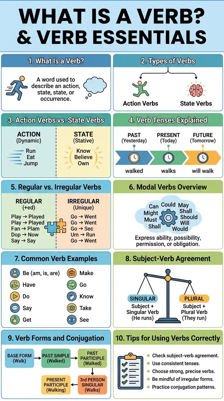 Infographic About Verbs